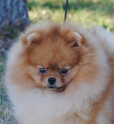 Kert at 10mos old