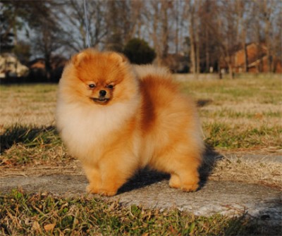 Kert at 8mos