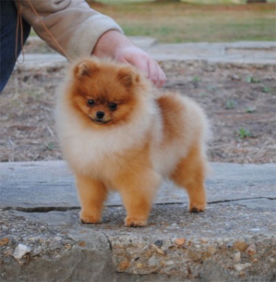 Kert at 6mos