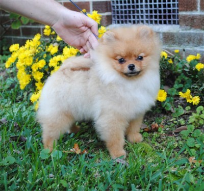 Kert at 5mos