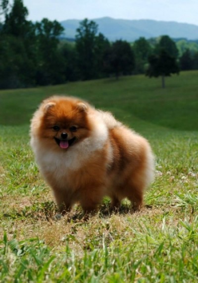 Kaneesa at 7mos old
