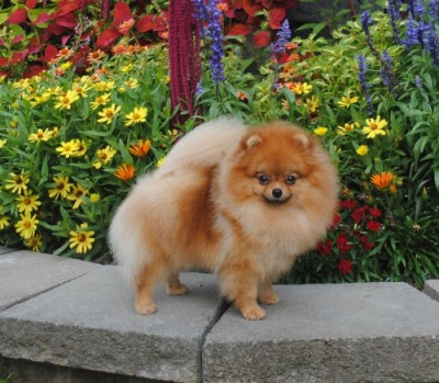 Kaneesa at 9mos