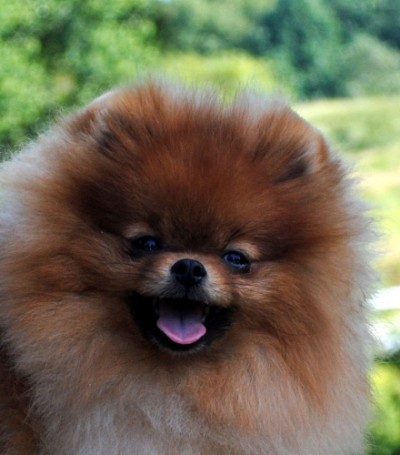 That smile :)