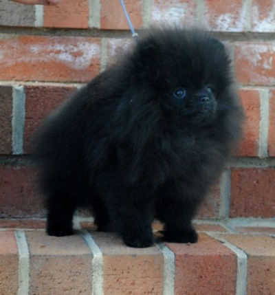 Claudia at 13 wks