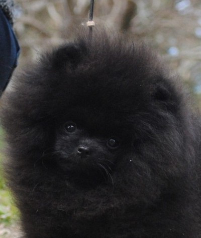 Claudia at 4mos old