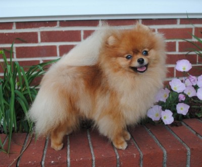 Dany at 17mos