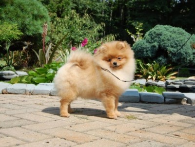 Mindy 6mos
