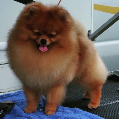 Selmy at 10mos old