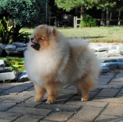 Vicki at 6mos old