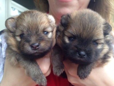 Leeza 3 wks (right)