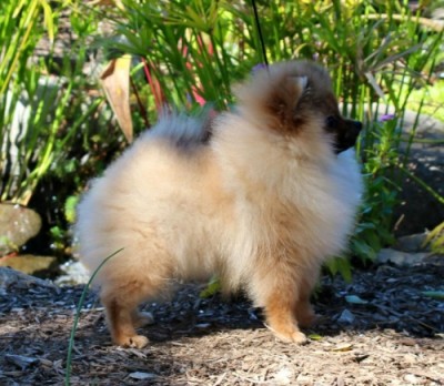 Leeza at 4mos old