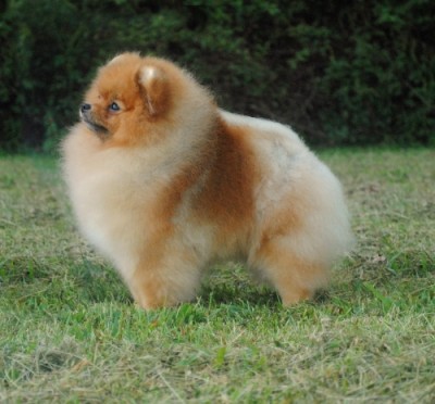 Vicki at 16mos old