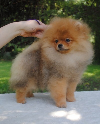 Aleks at 4mos
