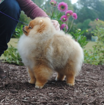 Aleks at 5mos