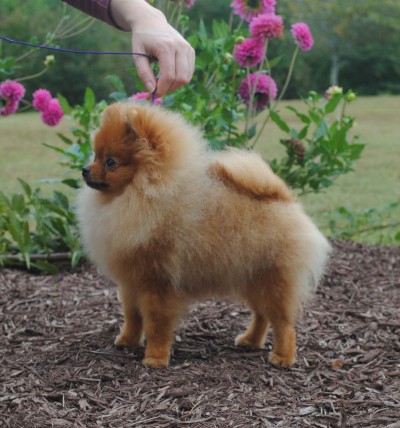 Mage at 5mos old
