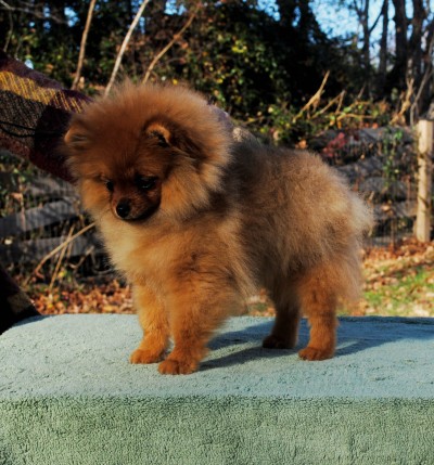 Yara at 4mos