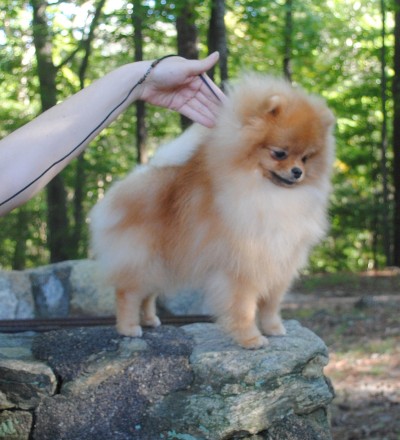 Halsin at 8 mos old
