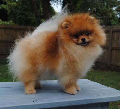 Lily at 2 yrs old
