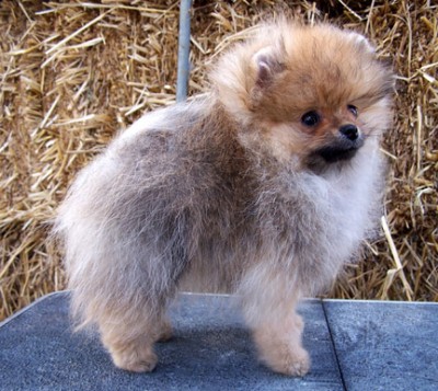 Ashton at 14 wks
