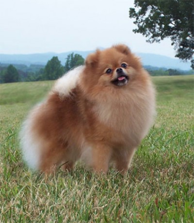 Cady at 3 years old