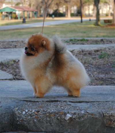 Darcy at 2yrs 10mos old